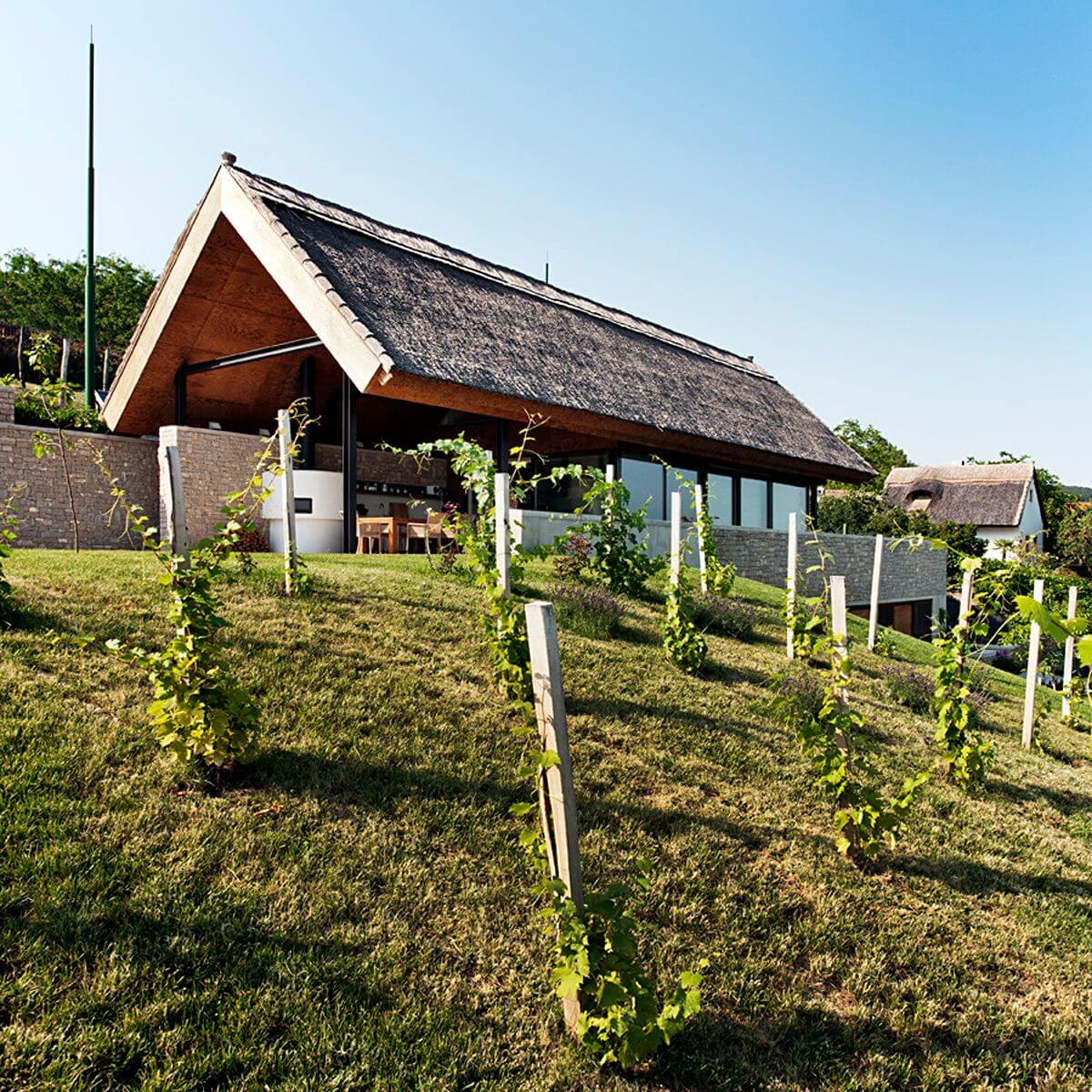 Balatonfüred Villa